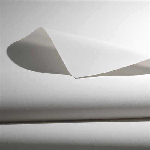 Palm Beach Light Filter